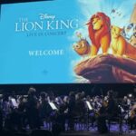 Orkestra eşliğinde sahneye taşındı: ‘The Lion King’ sanatseverlerle buluştu…