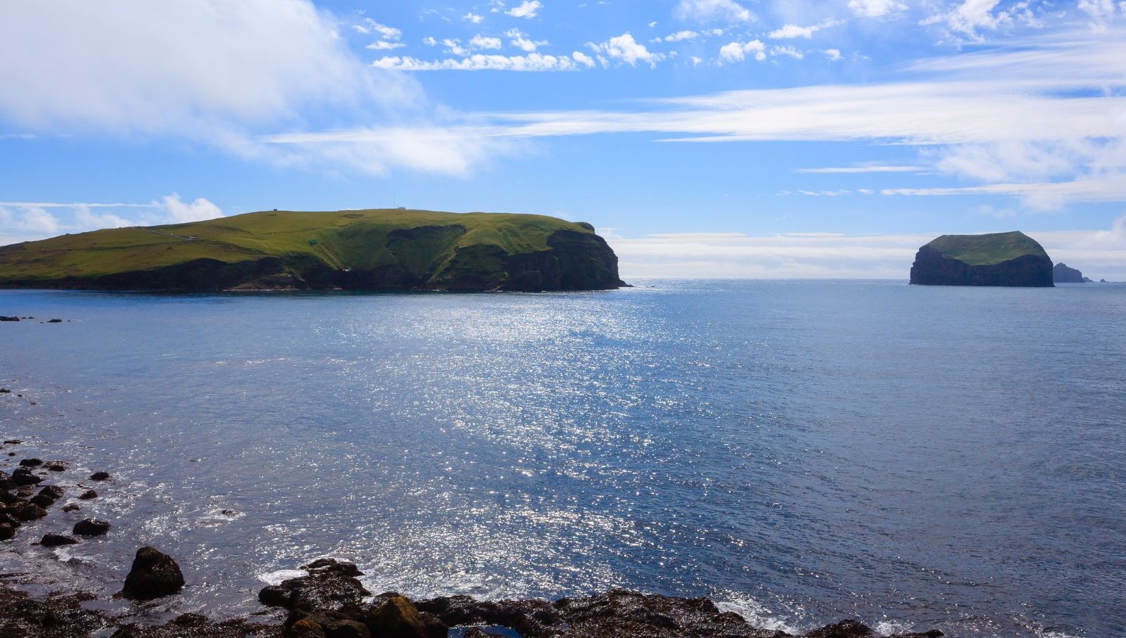 60 yil once dogan ada tabiatin kendini nasil onardiginin kaniti oldu qfr8D7wS.jpg